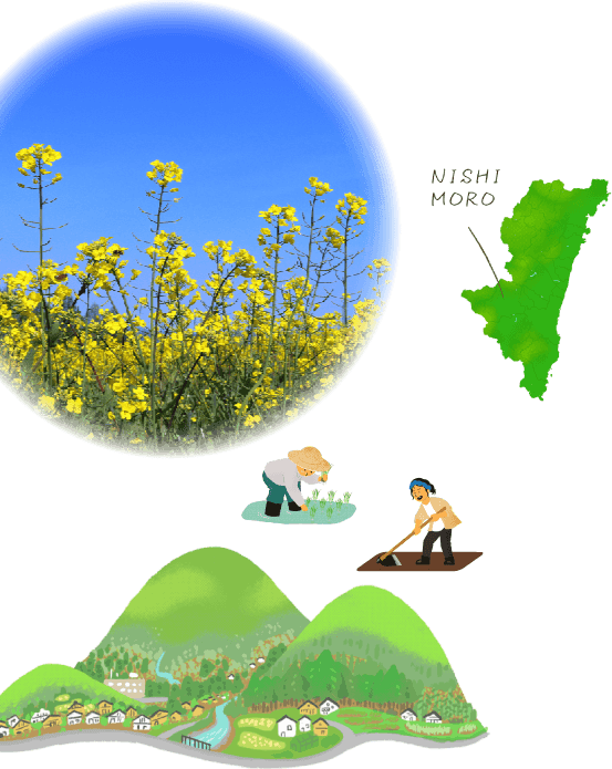 NISHIMORO OFFICEって？